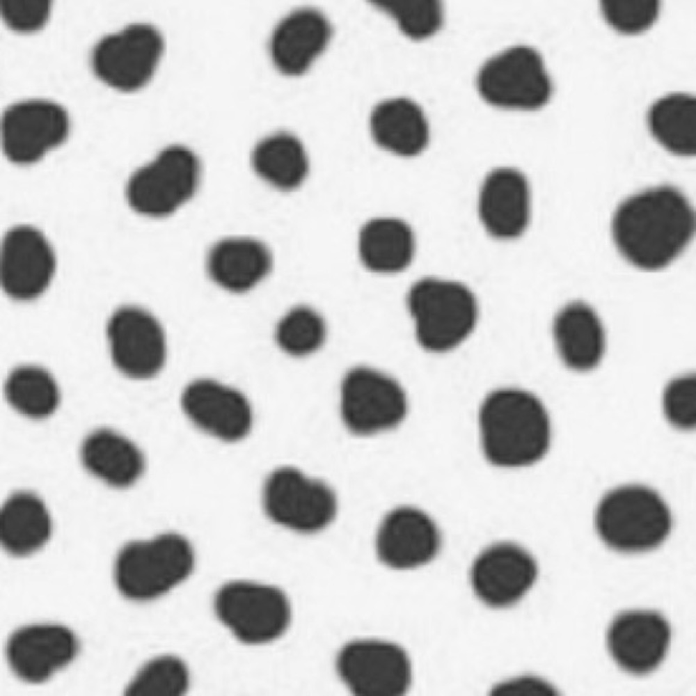 Meet your Posher, Eva